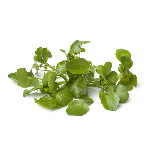 Our Range, Salad Cress