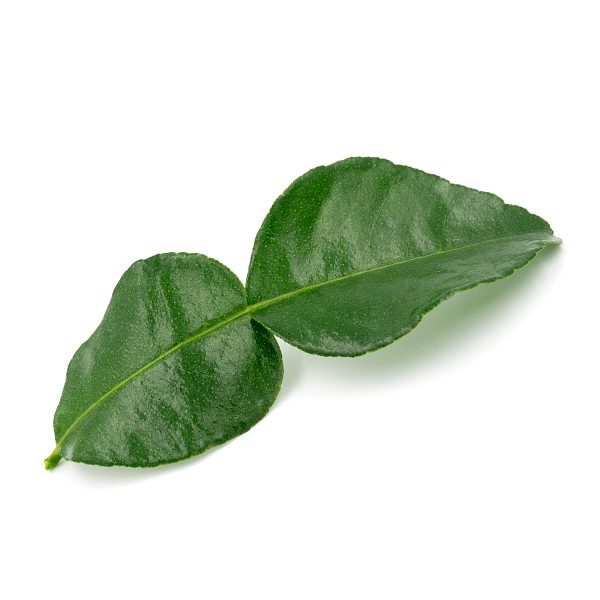 makrut-lime-leaves