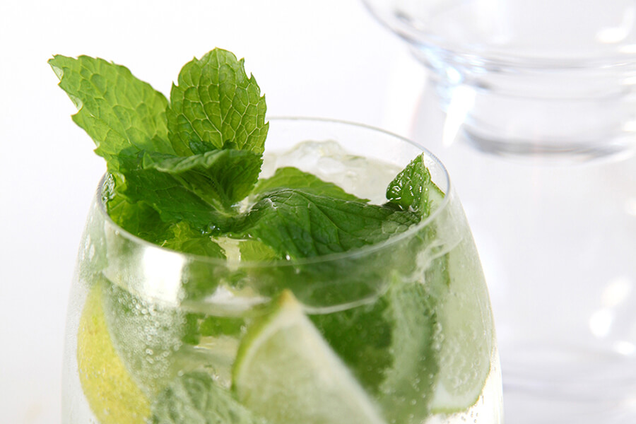mojitoshort