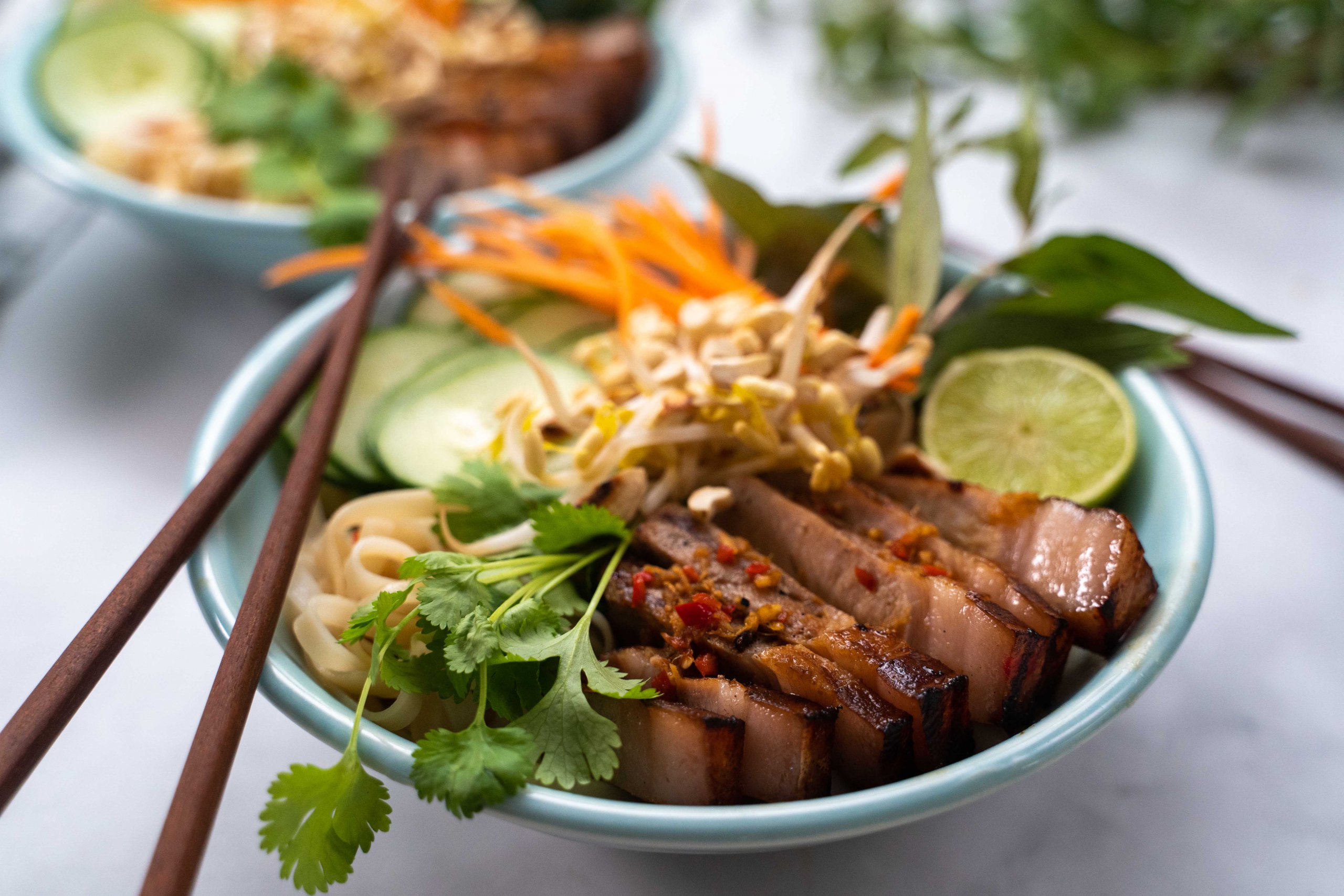 Vietnamese Pork Rice Noodle Salad_Hero5_LR