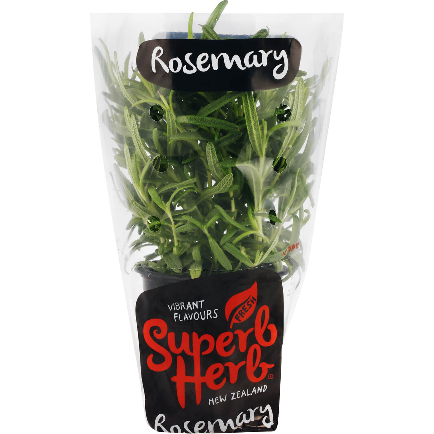 Rosemary - Superb Herb