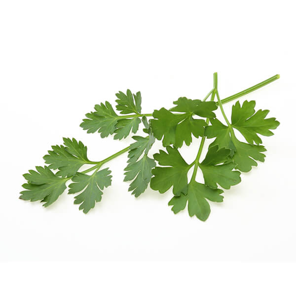italian-parsley-1.jpg