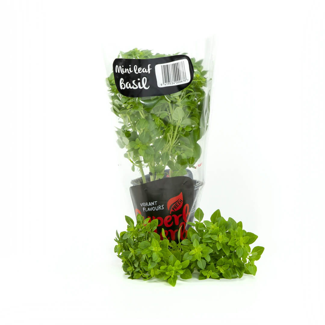 Mini Leaf Basil - Superb Herb