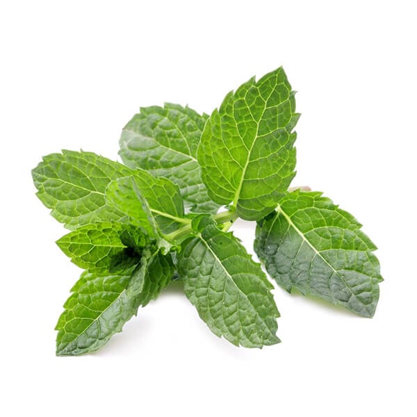 mint-1.jpg