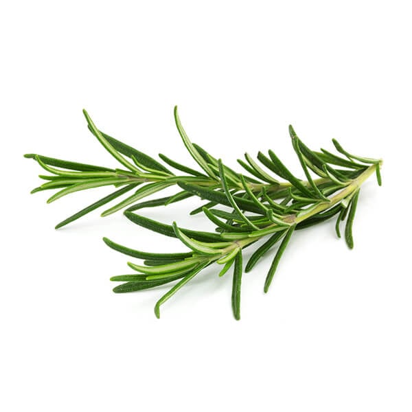 rosemary-1.jpg
