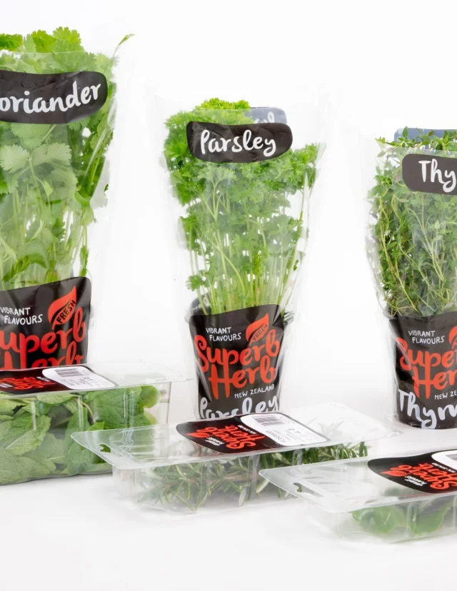 Spicing things up with our awesome packed herbs! 🌿✨ Whether it's a pinch of freshness for your salads or a burst of flavour in your recipes, these little powerhouses are a game-changer. Upgrade your culinary game with our vibrant herb collection! 🍃👩‍🍳 

#HerbMagic #FlavourExplosion #HerbHeaven #FlavourfulMagic #HerbGalore #FreshHerbFiesta #GardenToTable #CulinaryHerbs #HerbEssentials #SpiceUpLife #HerbDelights #GourmetHerbs #CookingWithHerbs #HerbMasters
#FlavourfulJourney #HerbInfusion #SeasonedToPerfection #HerbHarmony #KitchenHerbs