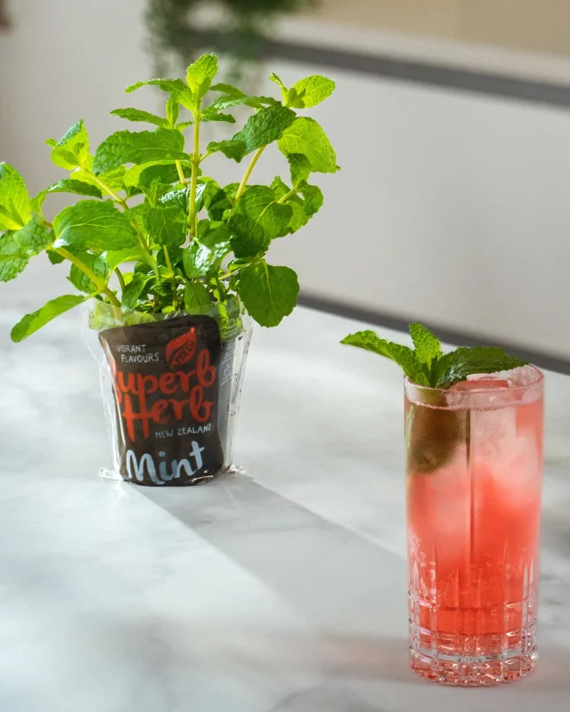 Add a twist to your drinks with a handful of fresh herbs – minty cool or citrusy zing - the choice is yours. Cheers to a herbalicious summer! 🍹✨ 

#SummerDrinks #HerbalRefresh