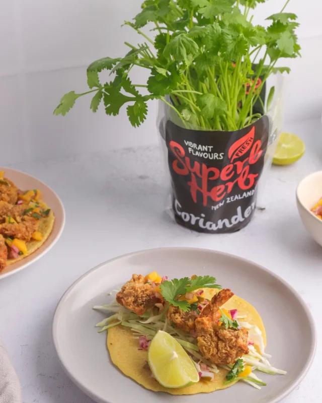 Spice up any meal with our awesome herbs! 🌿 Whether it's a pinch of freshness for your tacos or a burst of flavour in your recipes, these little powerhouses are a game-changer. Upgrade your culinary game with our vibrant herb collection! 🍃👩‍🍳 

#HerbMagic #FlavourExplosion #HerbHeaven #FlavourfulMagic #HerbGalore #FreshHerbFiesta #GardenToTable #CulinaryHerbs #HerbEssentials #SpiceUpLife #HerbDelights #GourmetHerbs #CookingWithHerbs #HerbMasters
#FlavourfulJourney #HerbInfusion #SeasonedToPerfection #HerbHarmony #KitchenHerbs