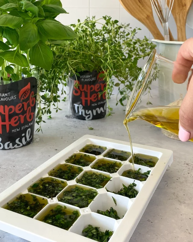 Spice up your cooking game with Superb Herb's frozen oil herb bombs! 🚀 Simply pop one of these babies into your pan for an instant burst of fresh flavour. Cooking made easy and delicious! 

#SuperbHerb #FrozenOilHerbBombs #FreshFlavourBoost